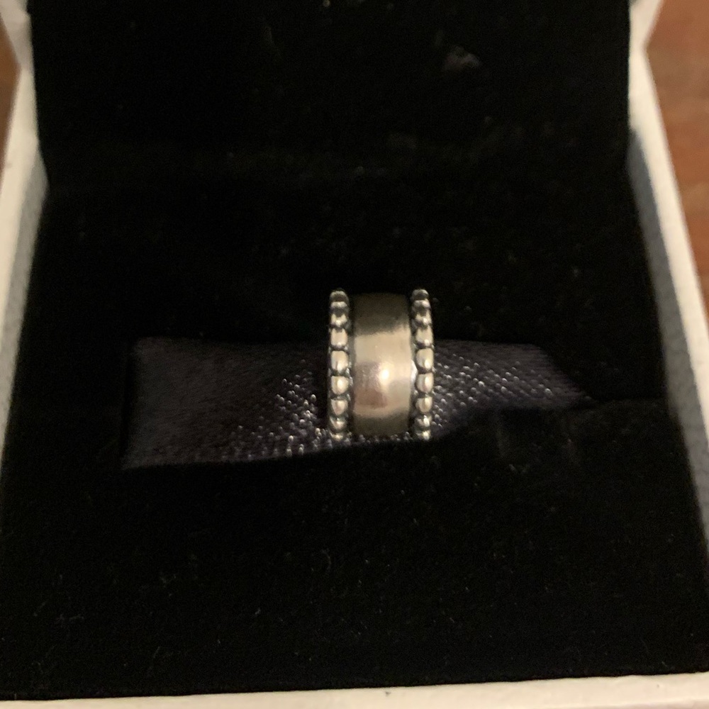 Pandora Clip